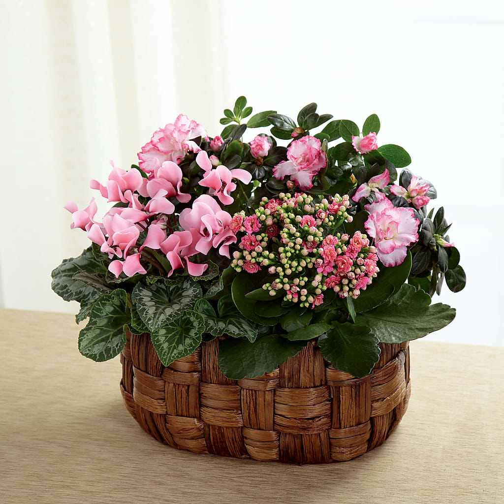 Pink Assortment – Margartia Flowers, Jersey City NJ
