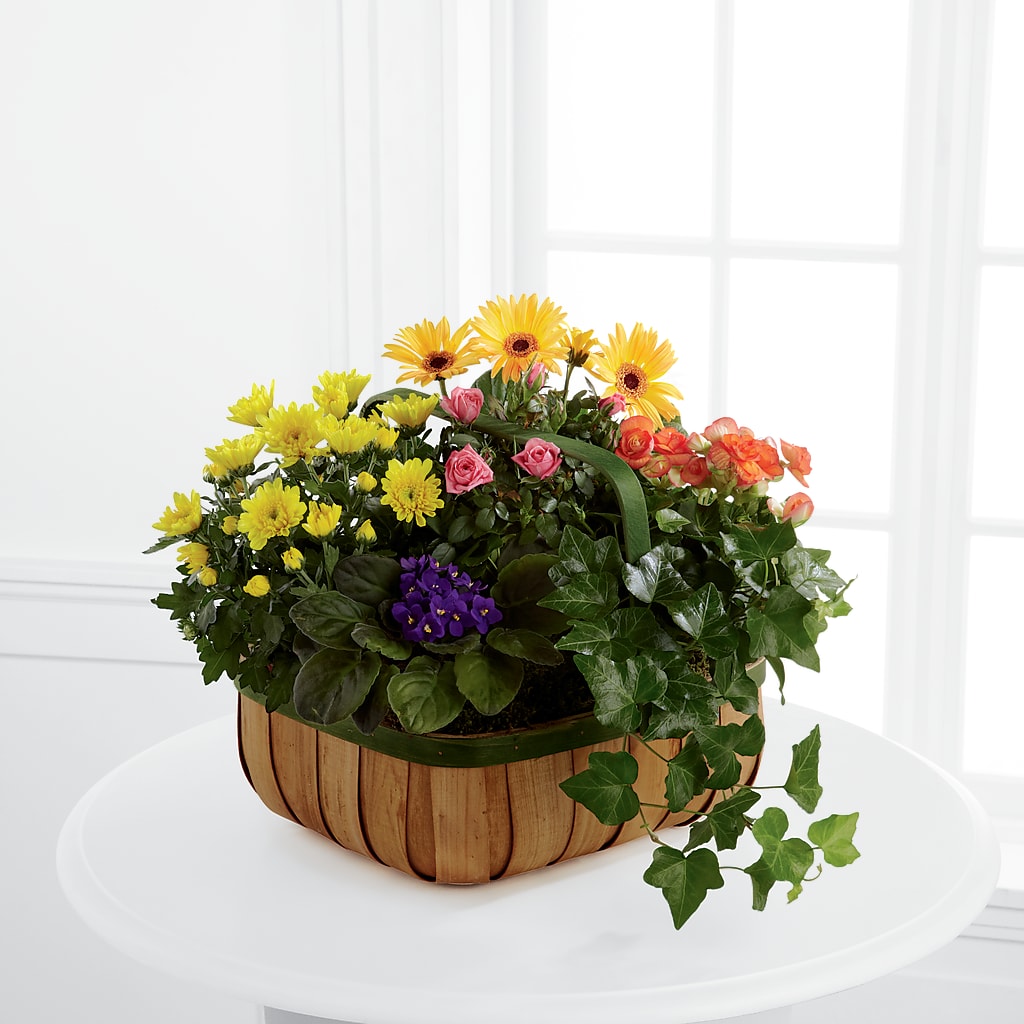 Gentle Blossoms Basket – Margartia Flowers, Jersey City NJ