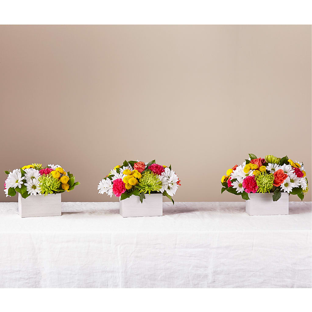 Sorbet Bouquet – Margartia Flowers, Jersey City NJ