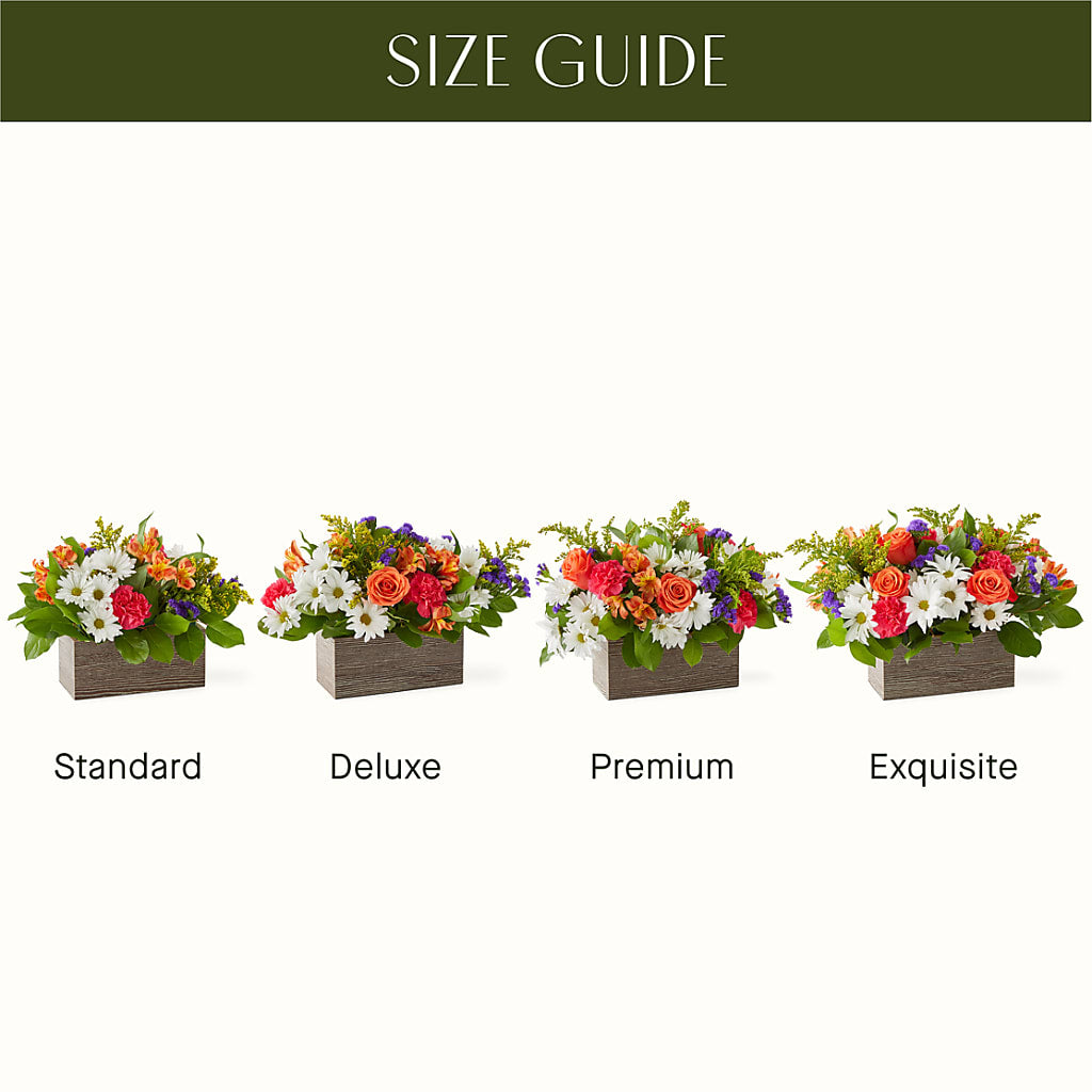 Oopsie Daisy Box Bouquet – Margartia Flowers, Jersey City NJ