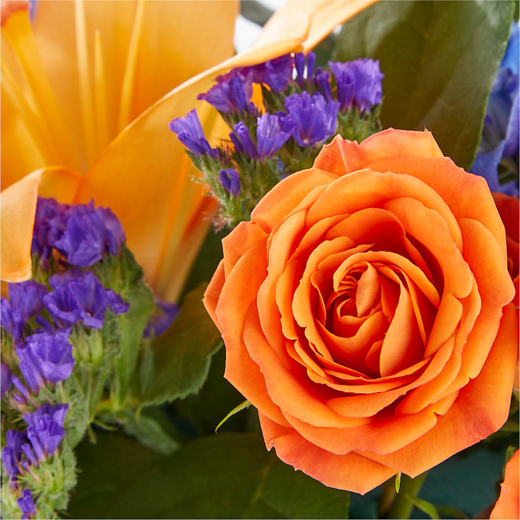 Radiant Citrus Box Bouquet – Margartia Flowers, Jersey City NJ
