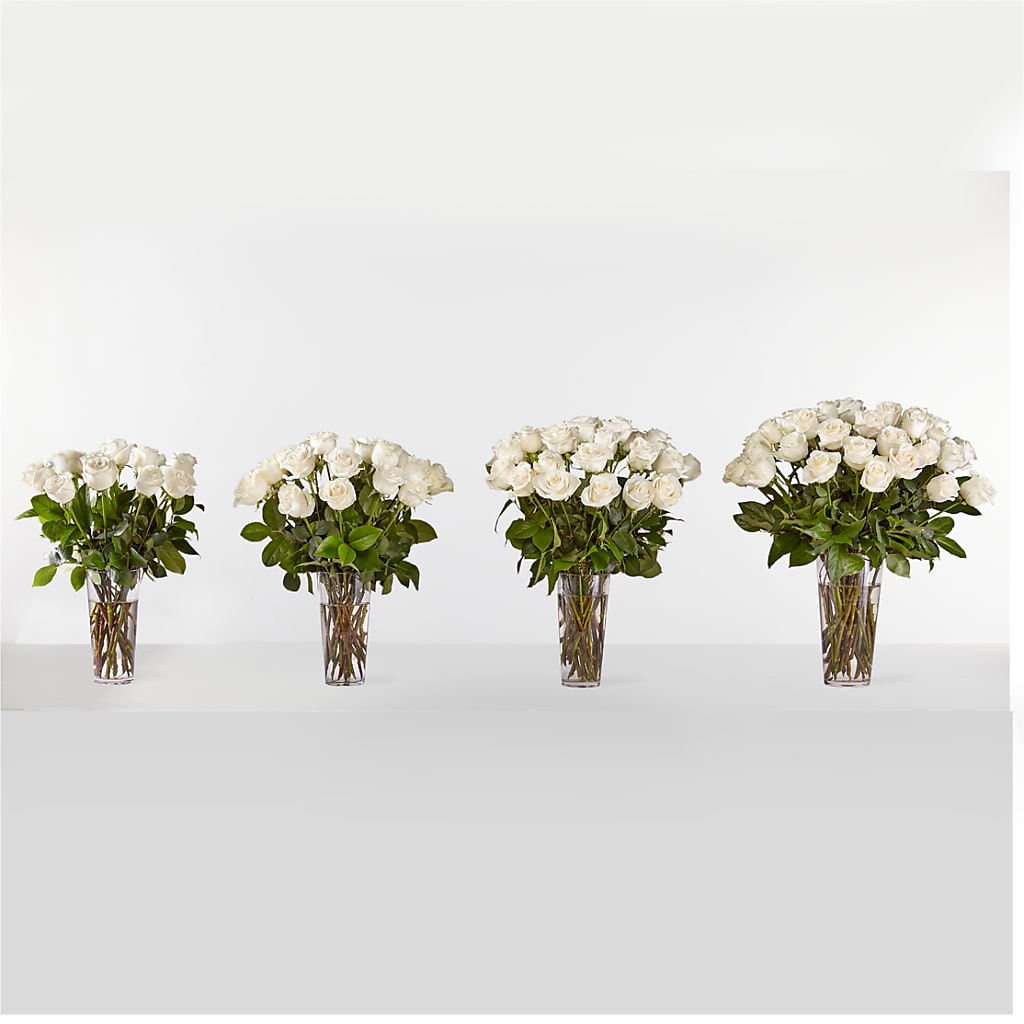 Long Stem White Rose Bouquet – Margartia Flowers, Jersey City NJ