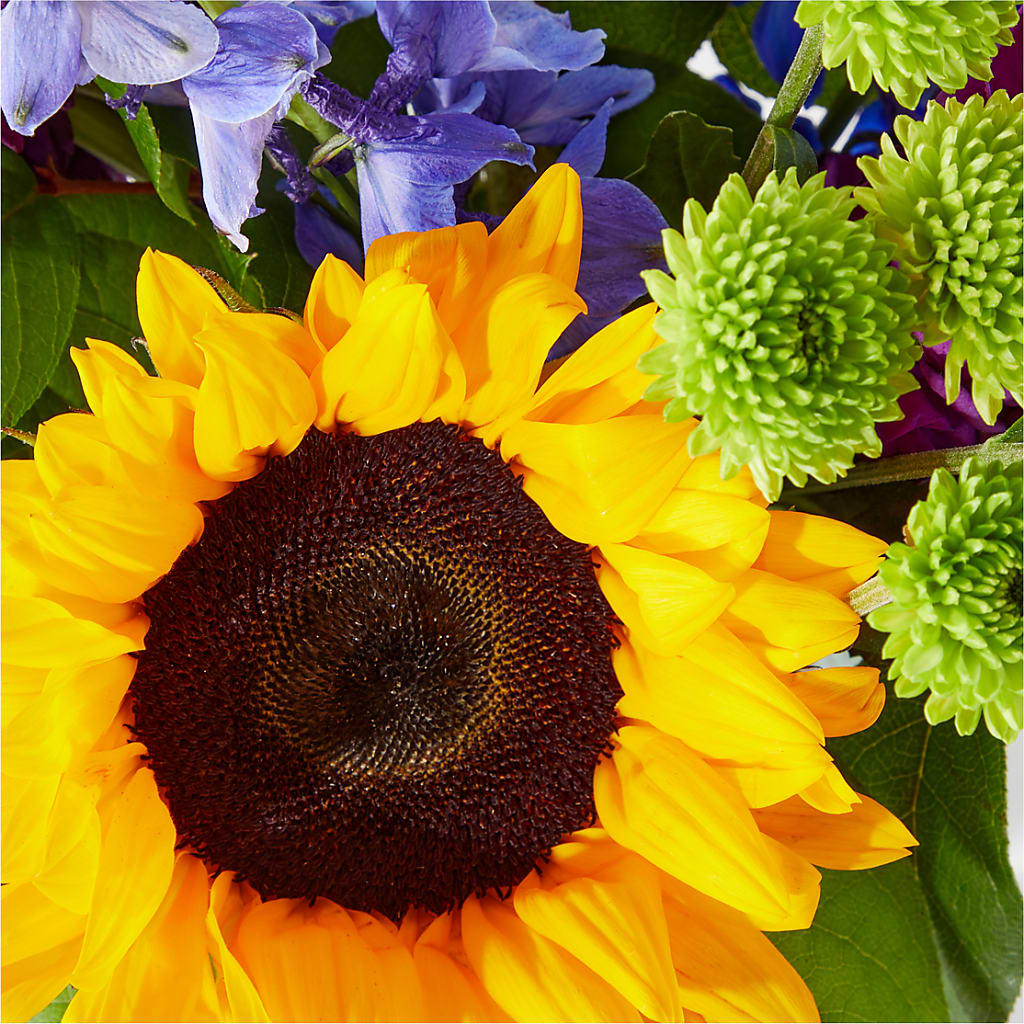 Catching Rays Bouquet – Margartia Flowers, Jersey City NJ