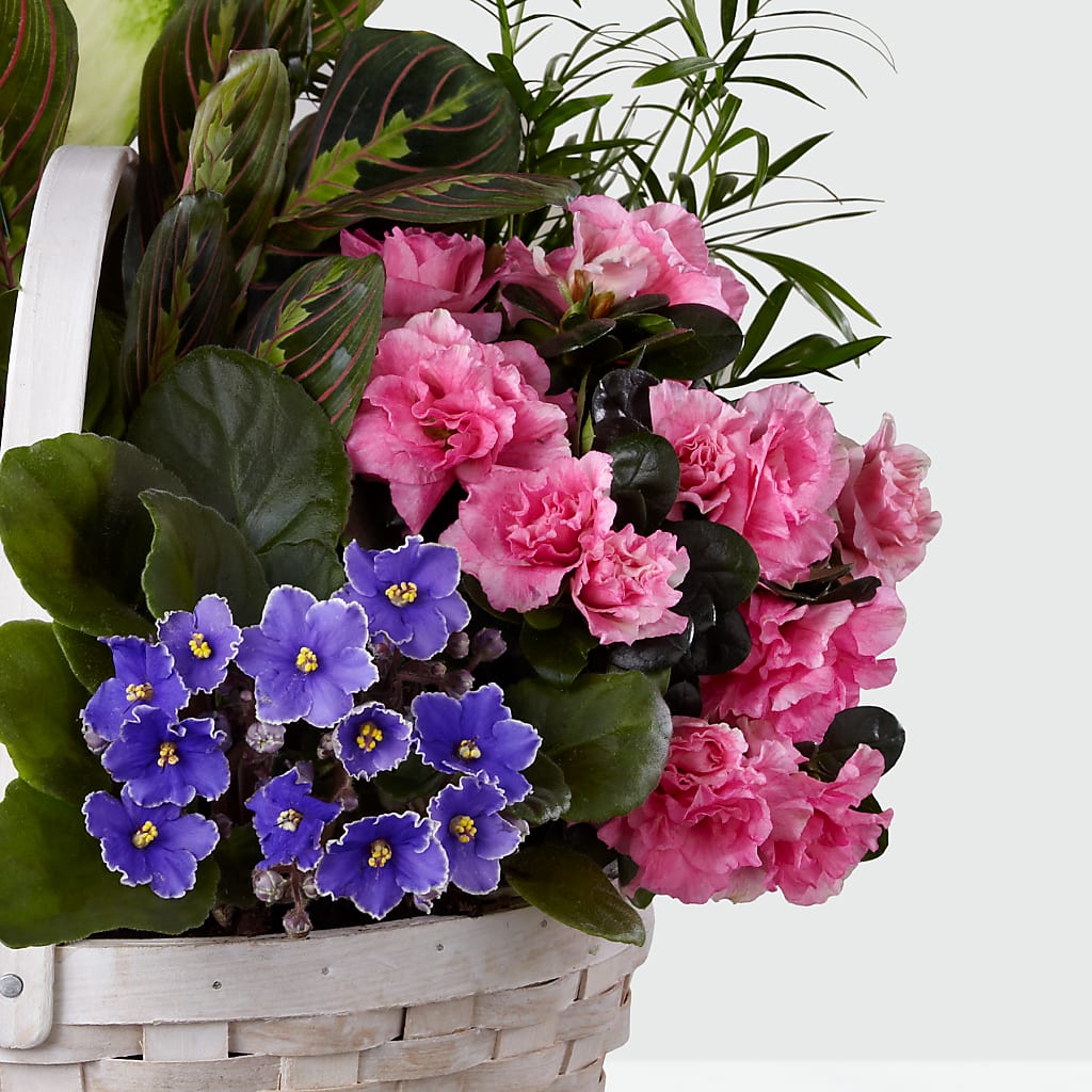 Peaceful Garden Planter – Margartia Flowers, Jersey City NJ