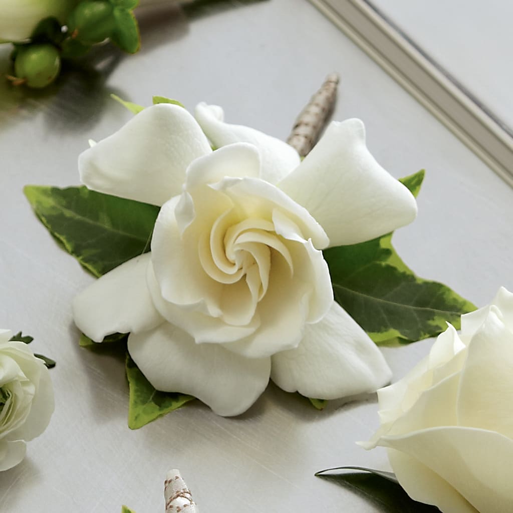 Gardenia Boutonniere – Margartia Flowers, Jersey City NJ