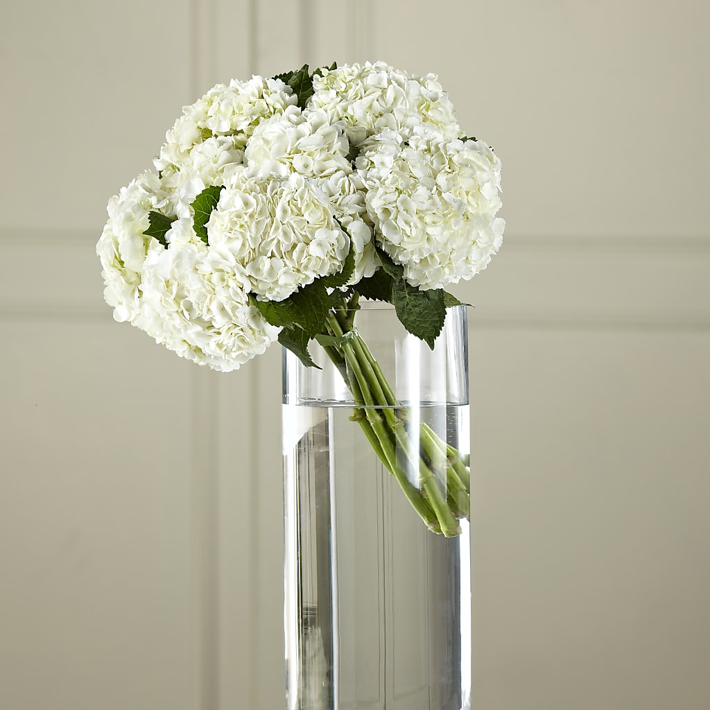 White Hydrangea Hand-Tied Bouquet – Margartia Flowers, Jersey City NJ