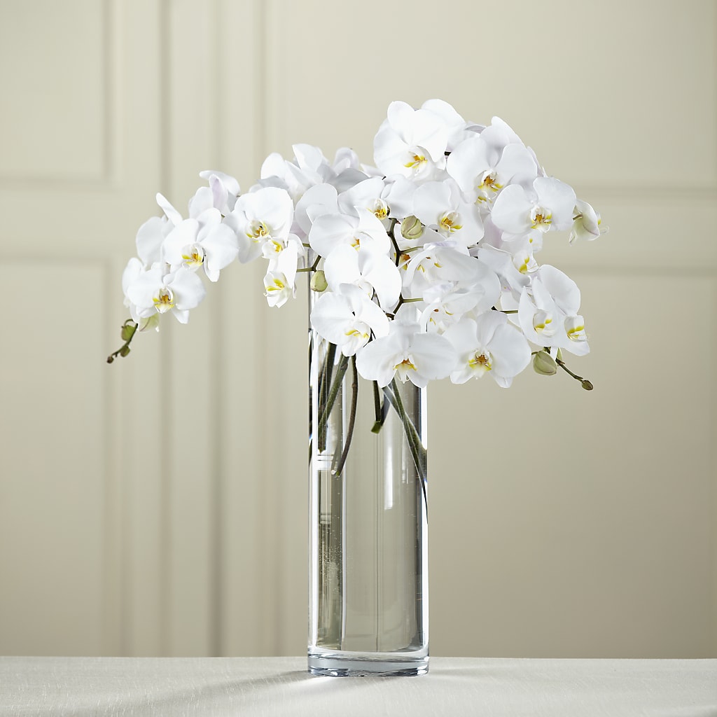 White Phalaenopsis Bouquet – Margartia Flowers, Jersey City NJ
