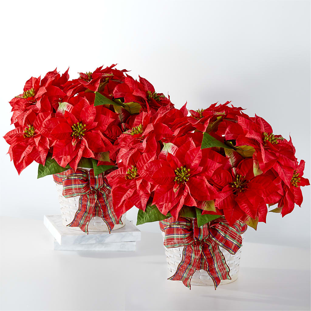 Happiest Holidays Poinsettia Bundle –  Margartia Flowers, Jersey City NJ
