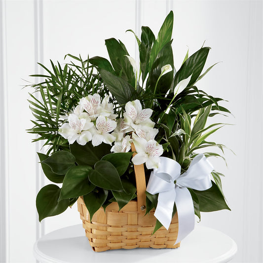 Peace & Serenity Dishgarden –  Margartia Flowers, Jersey City NJ