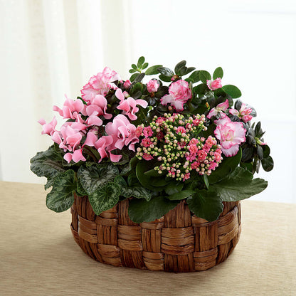 Pink Assortment –  Margartia Flowers, Jersey City NJ