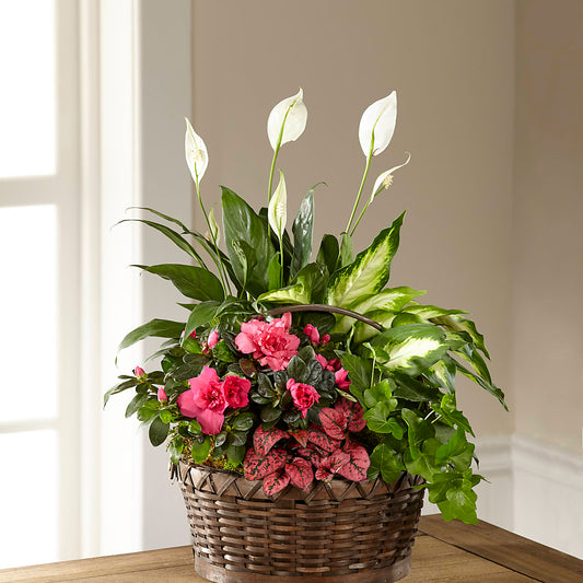 Dream in Pink Dishgarden –  Margartia Flowers, Jersey City NJ