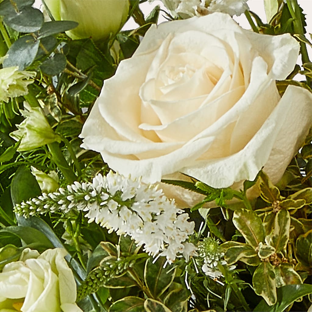 Cashmere Bouquet –  Margartia Flowers, Jersey City NJ