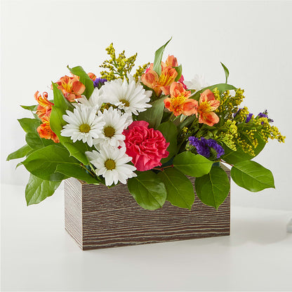 Oopsie Daisy Box Bouquet –  Margartia Flowers, Jersey City NJ