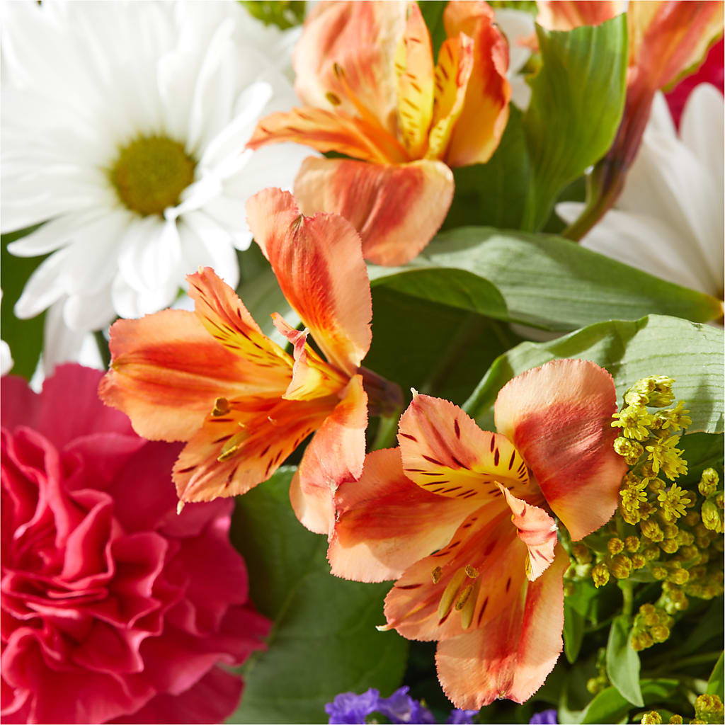 Oopsie Daisy Box Bouquet –  Margartia Flowers, Jersey City NJ