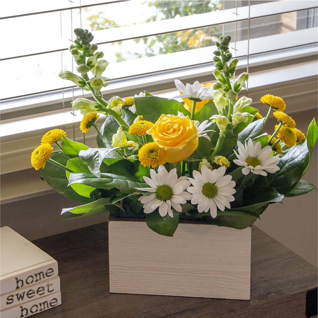 Sun Salutation Box Bouquet –  Margartia Flowers, Jersey City NJ