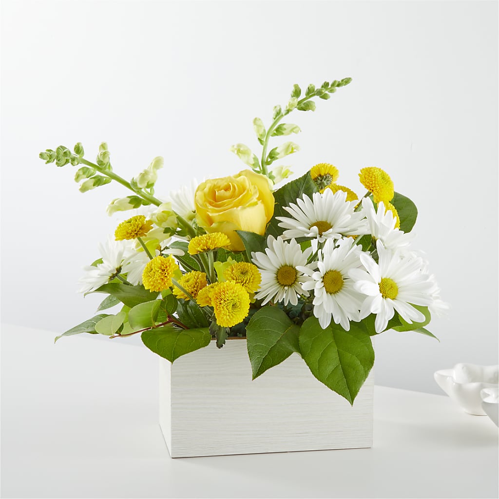 Sun Salutation Box Bouquet –  Margartia Flowers, Jersey City NJ