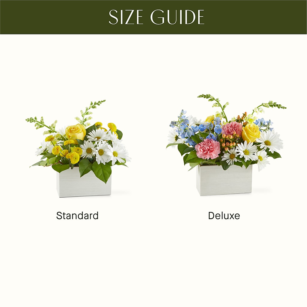 Sun Salutation Box Bouquet –  Margartia Flowers, Jersey City NJ