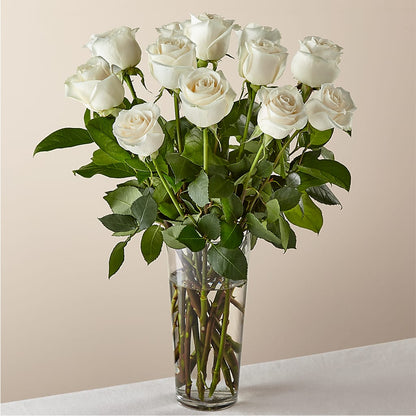 Long Stem White Rose Bouquet –  Margartia Flowers, Jersey City NJ