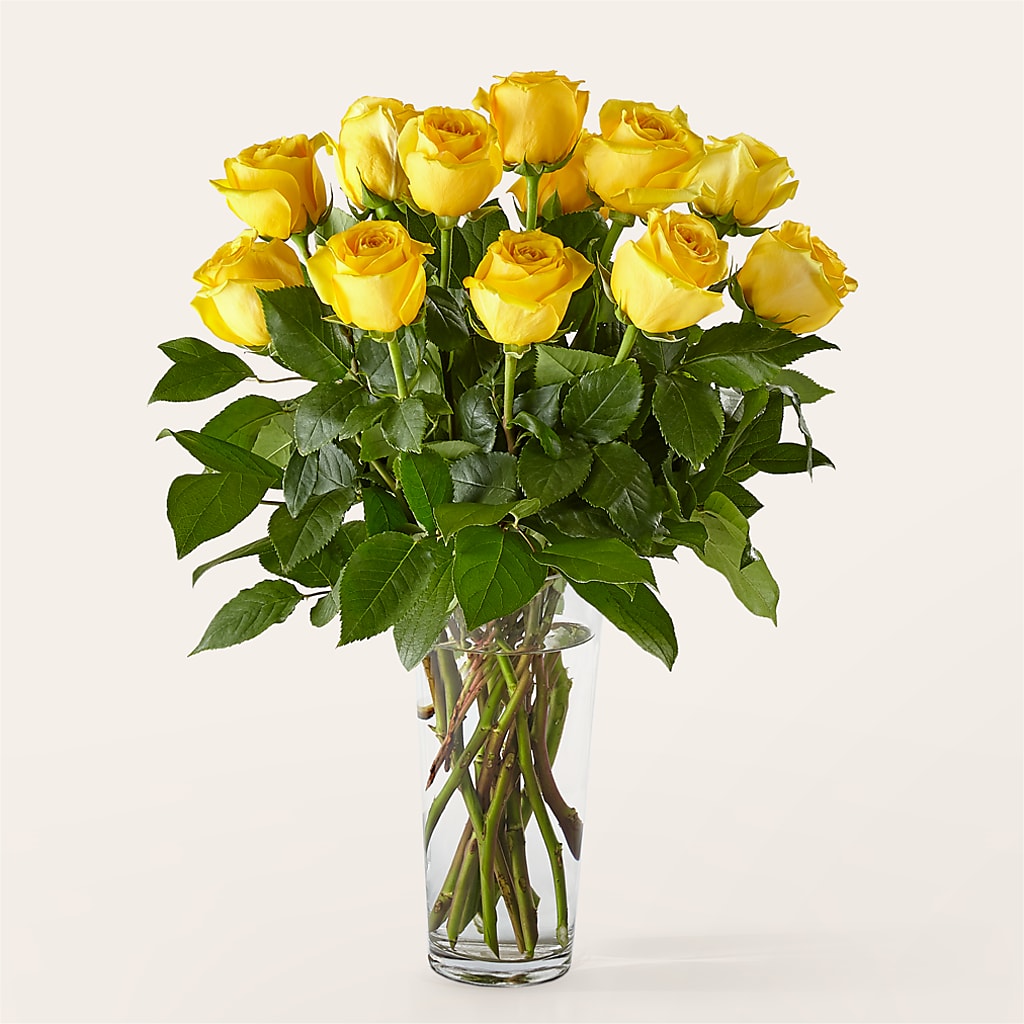 Long Stem Yellow Rose Bouquet –  Margartia Flowers, Jersey City NJ