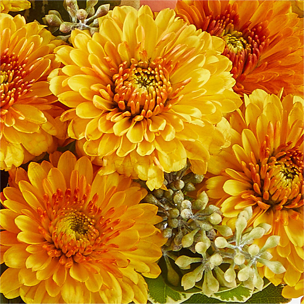 Peachy Pumpkin –  Margartia Flowers, Jersey City NJ