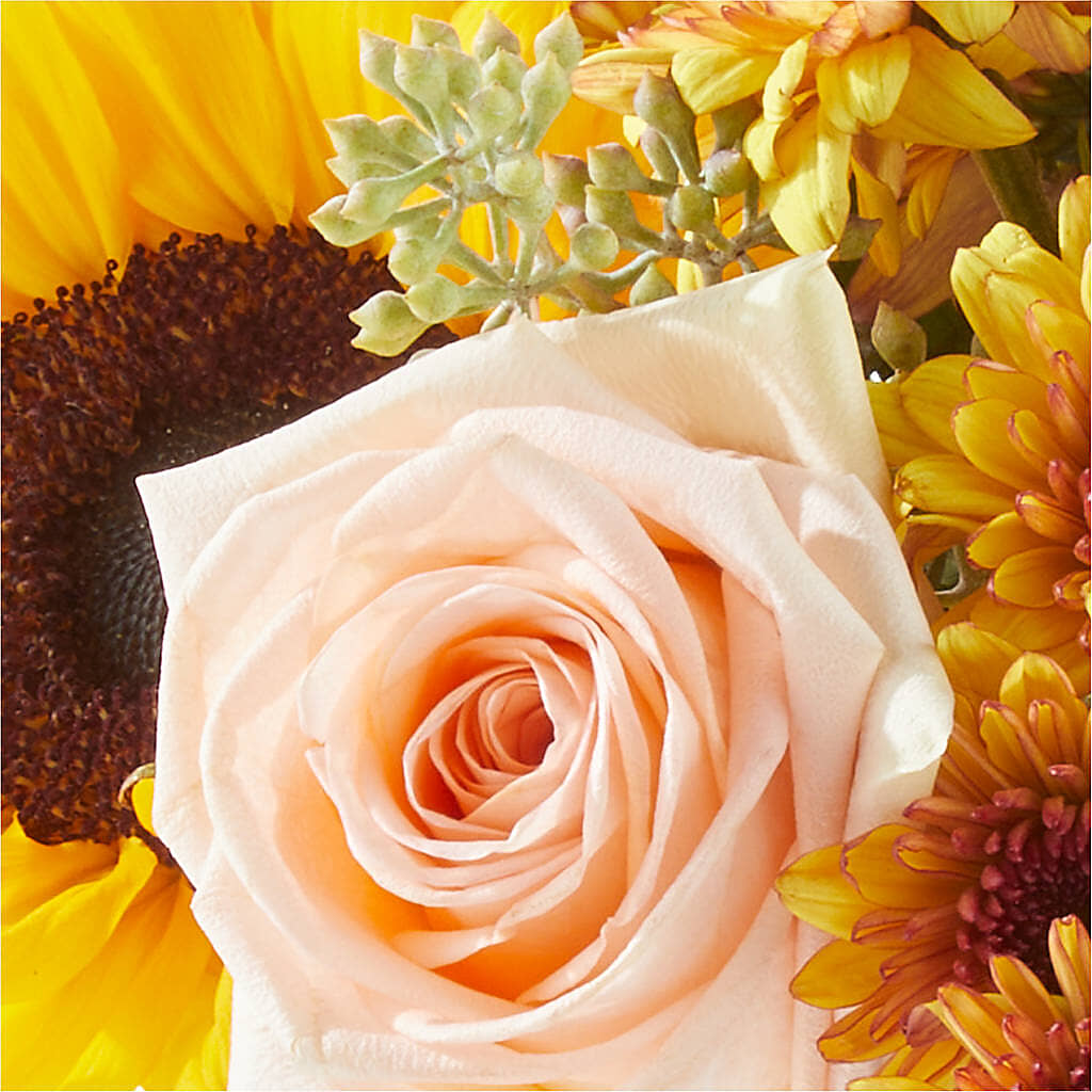 Pumpkin to Talk About Bouquet –  Margartia Flowers, Jersey City NJ