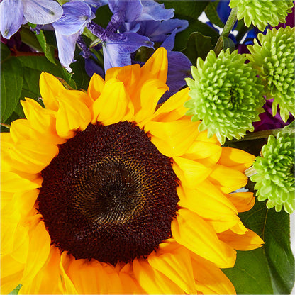 Catching Rays Bouquet –  Margartia Flowers, Jersey City NJ