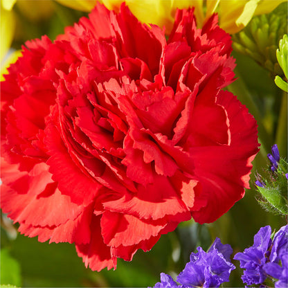 Brighter Days Bouquet –  Margartia Flowers, Jersey City NJ