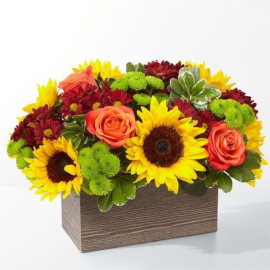 Happy Harvest Garden –  Margartia Flowers, Jersey City NJ