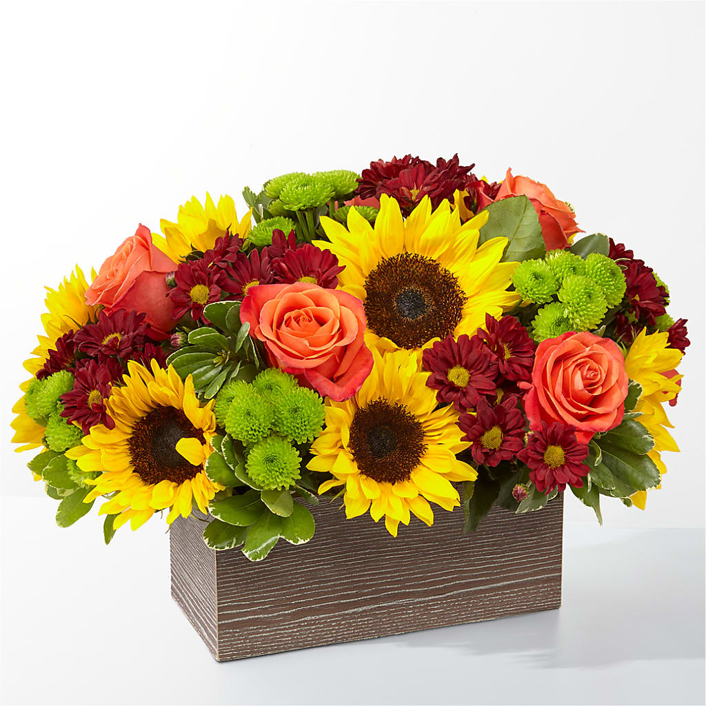 Happy Harvest Garden –  Margartia Flowers, Jersey City NJ