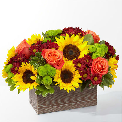 Happy Harvest Garden –  Margartia Flowers, Jersey City NJ