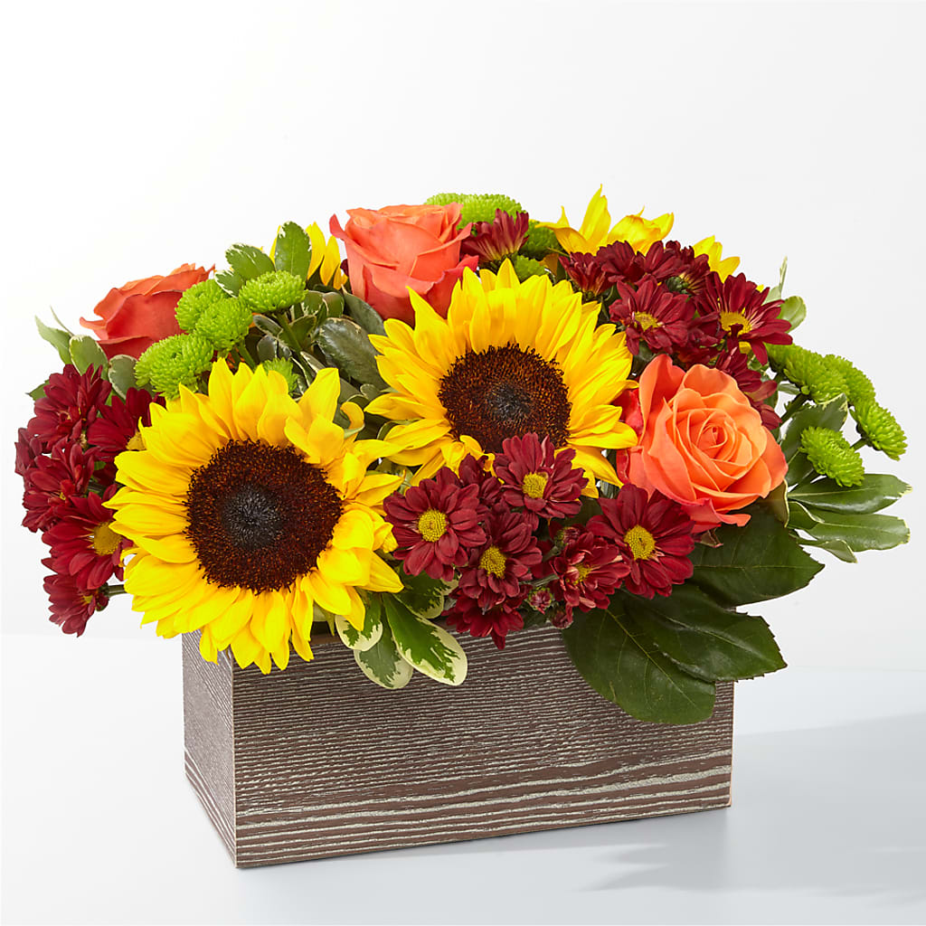 Happy Harvest Garden –  Margartia Flowers, Jersey City NJ
