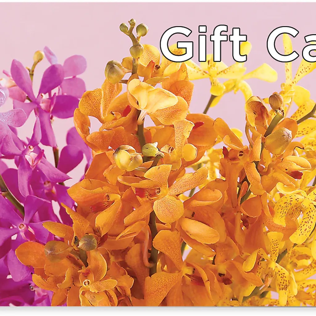 Gift Card –  Margartia Flowers, Jersey City NJ