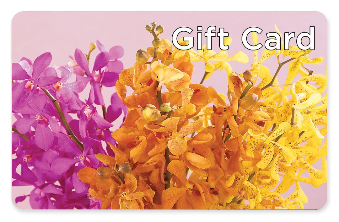 Gift Card –  Margartia Flowers, Jersey City NJ