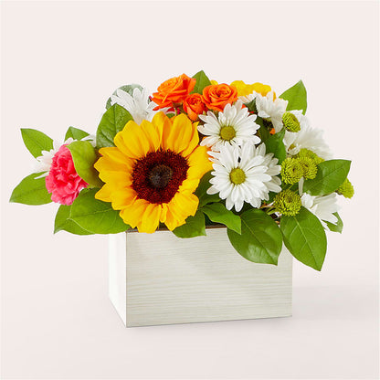 Sun-drenched Blooms Box Bouquet –  Margartia Flowers, Jersey City NJ