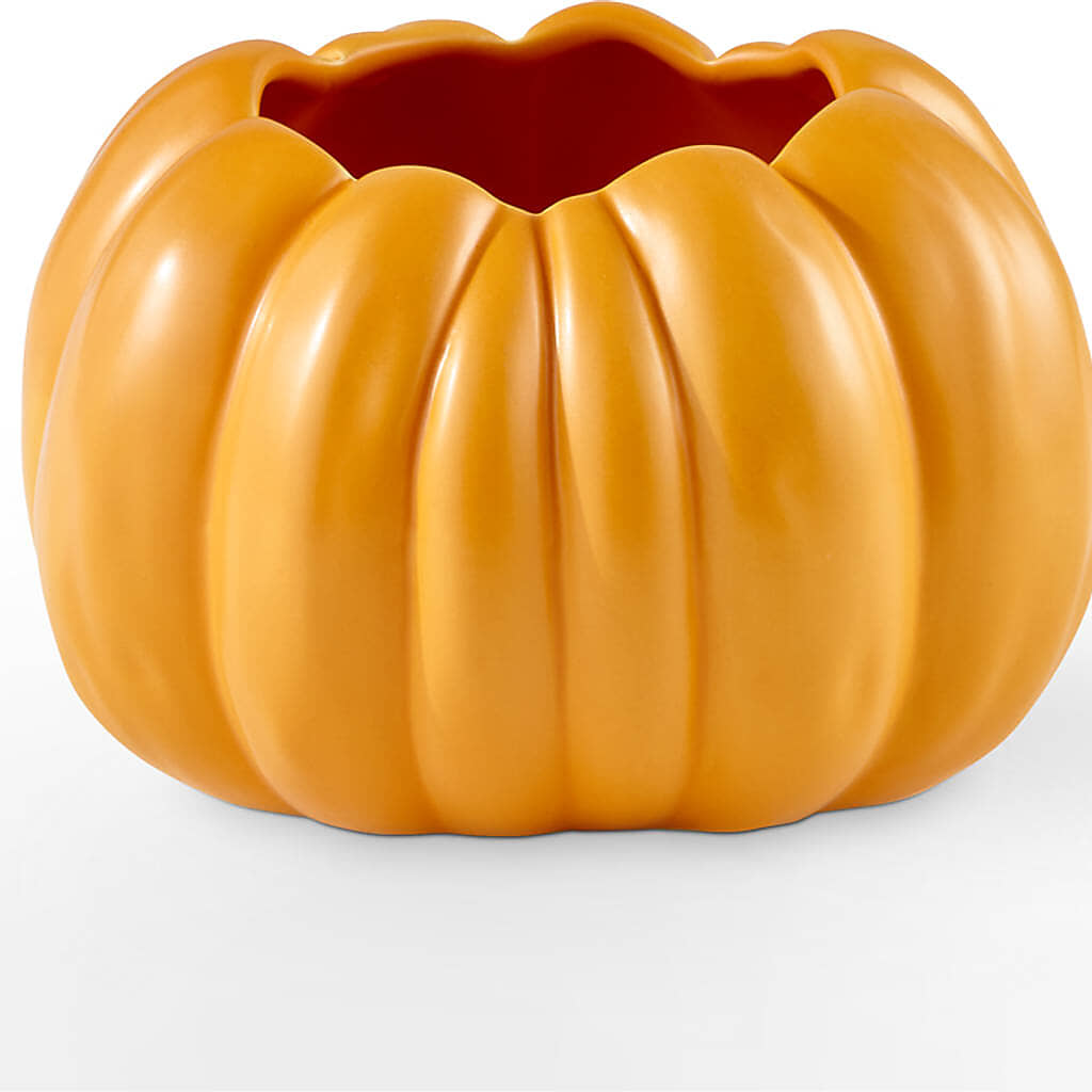 Pick of the Patch Pumpkin Bouquet –  Margartia Flowers, Jersey City NJ