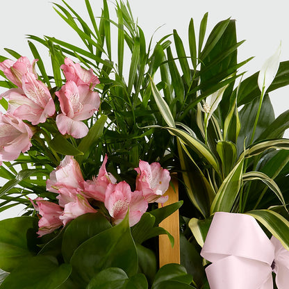 Living Spirit Dishgarden –  Margartia Flowers, Jersey City NJ