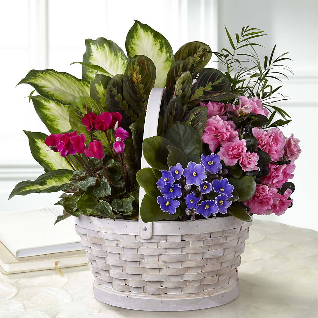 Peaceful Garden Planter –  Margartia Flowers, Jersey City NJ