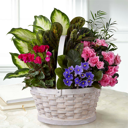 Peaceful Garden Planter –  Margartia Flowers, Jersey City NJ