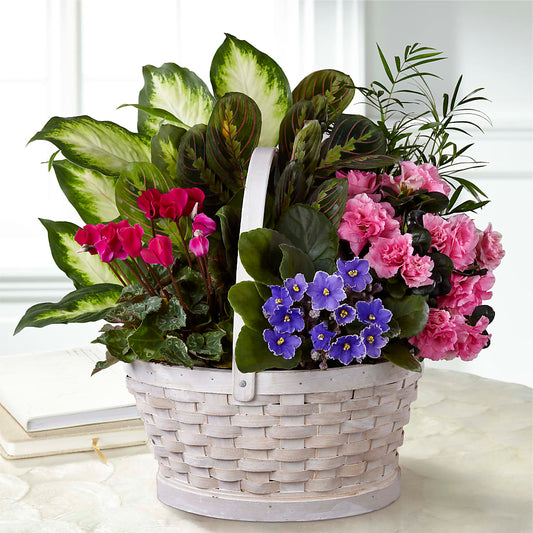 Peaceful Garden Planter –  Margartia Flowers, Jersey City NJ