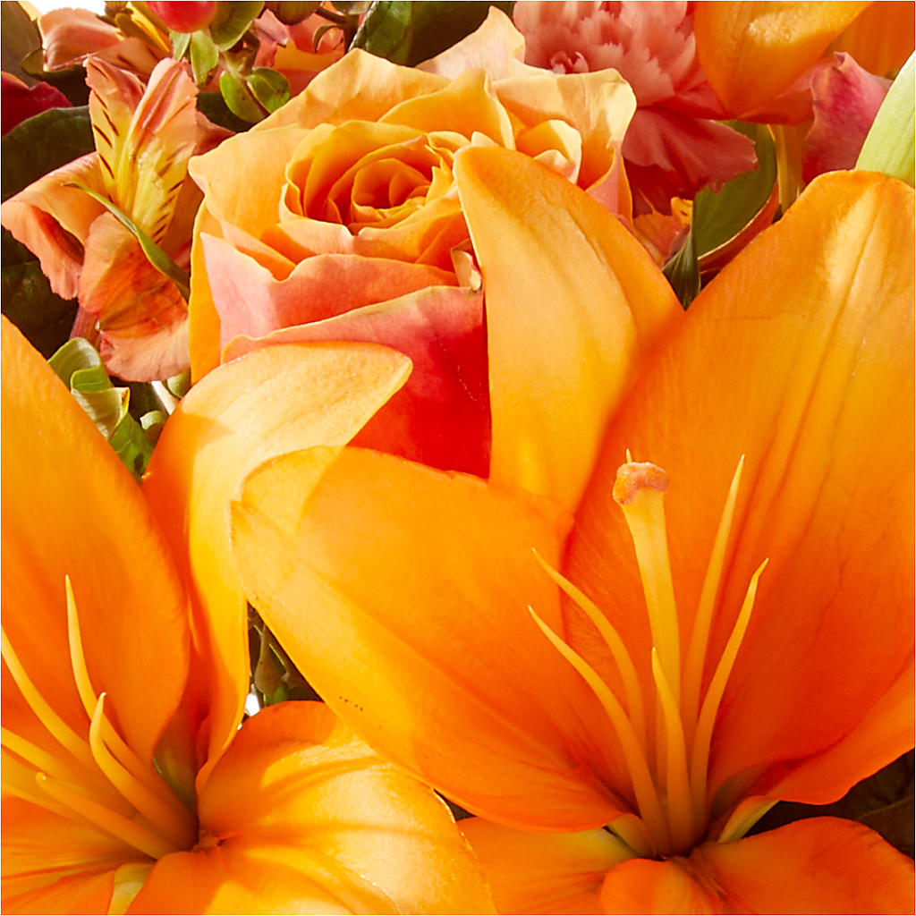 Afternoon Light Bouquet –  Margartia Flowers, Jersey City NJ
