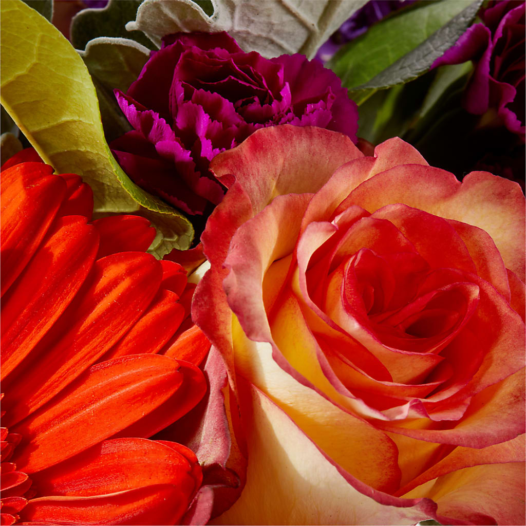Sangria Bouquet –  Margartia Flowers, Jersey City NJ