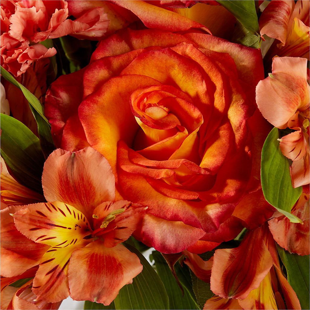 Apricot Glow Bouquet –  Margartia Flowers, Jersey City NJ