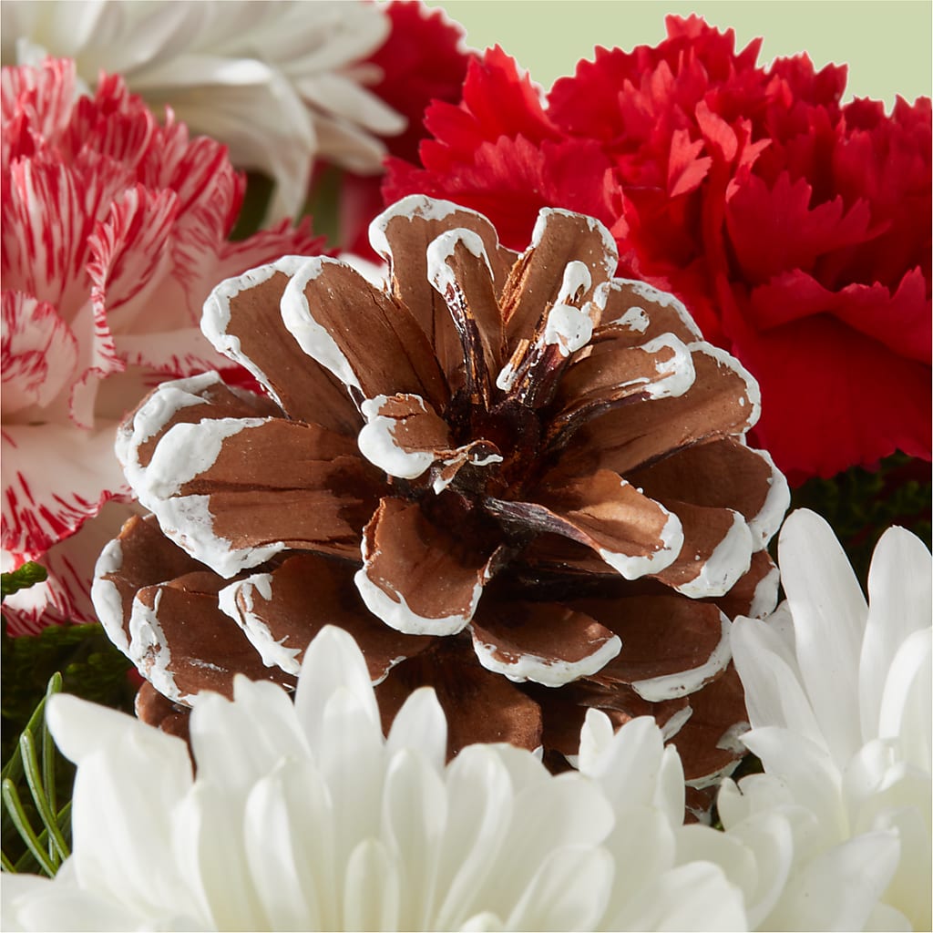 Candy Cane Lane Bouquet –  Margartia Flowers, Jersey City NJ