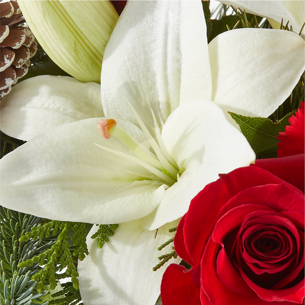 Oh So Jolly Bouquet –  Margartia Flowers, Jersey City NJ