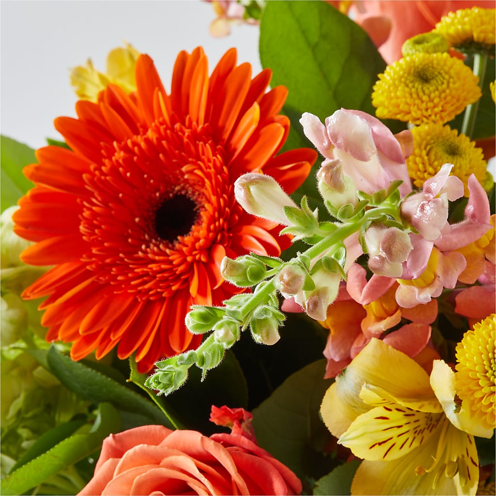 Autumn Sunshine Bouquet –  Margartia Flowers, Jersey City NJ