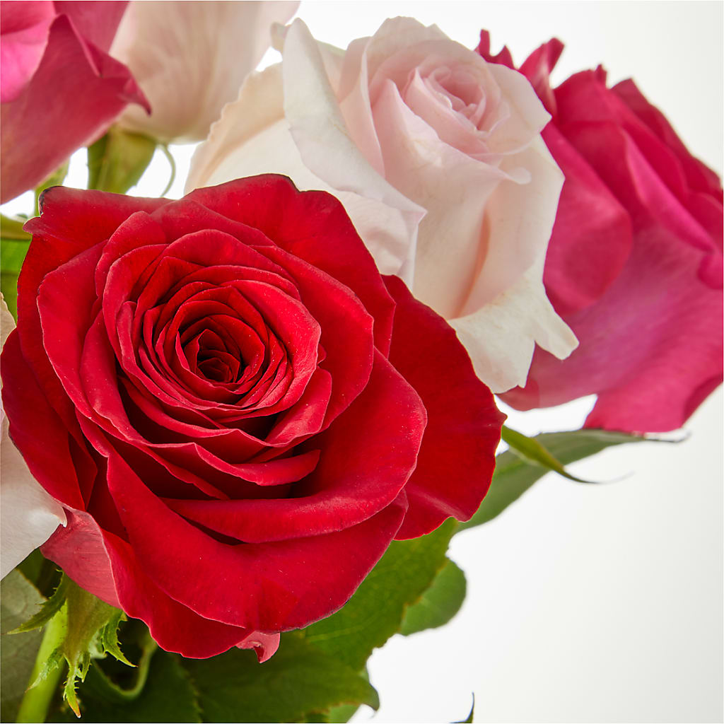 Charming Rose Bouquet –  Margartia Flowers, Jersey City NJ