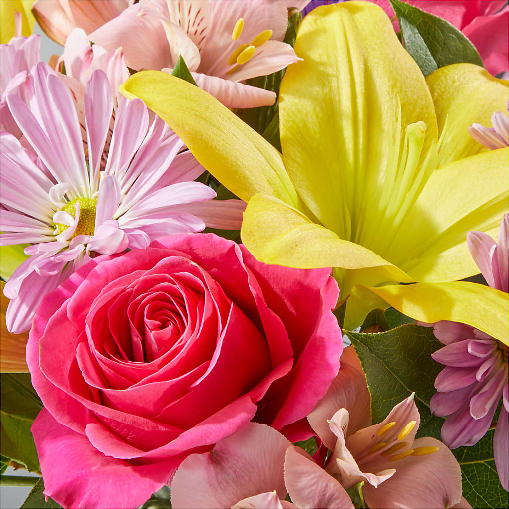 Sprinkles Bouquet –  Margartia Flowers, Jersey City NJ