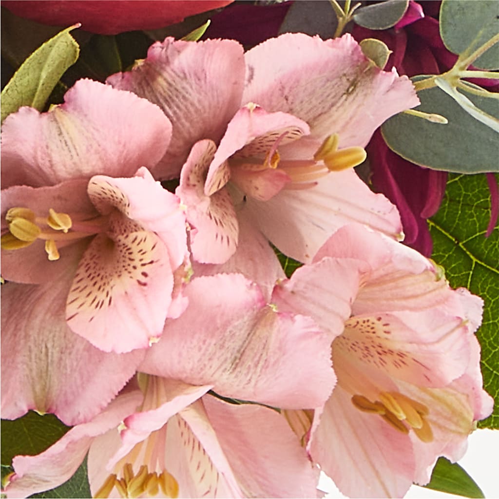 Berry Cobbler Bouquet –  Margartia Flowers, Jersey City NJ
