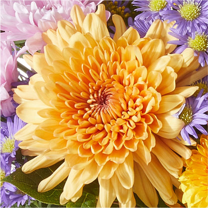 Countryside Bouquet –  Margartia Flowers, Jersey City NJ