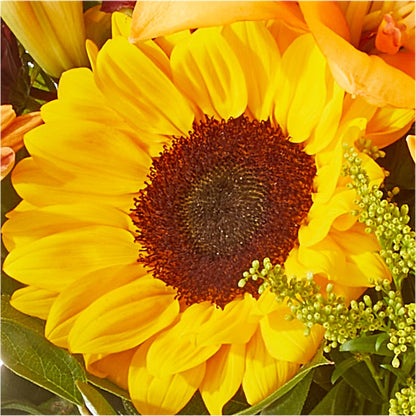 Seasons Change Bouquet –  Margartia Flowers, Jersey City NJ